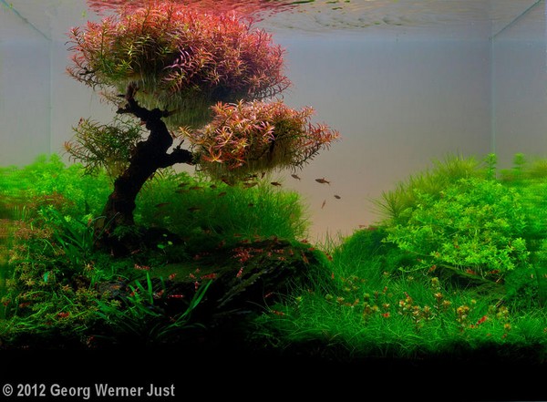 Georg Werner Just (Niemcy)